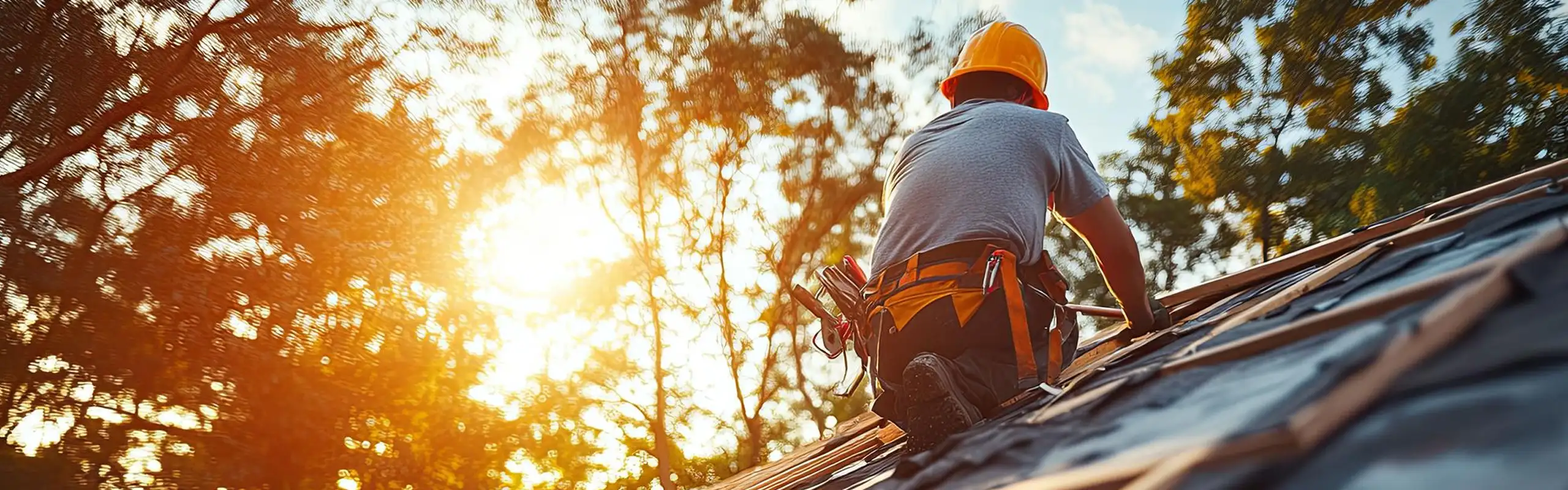 Réparation et nettoyage toiture Bédarrides